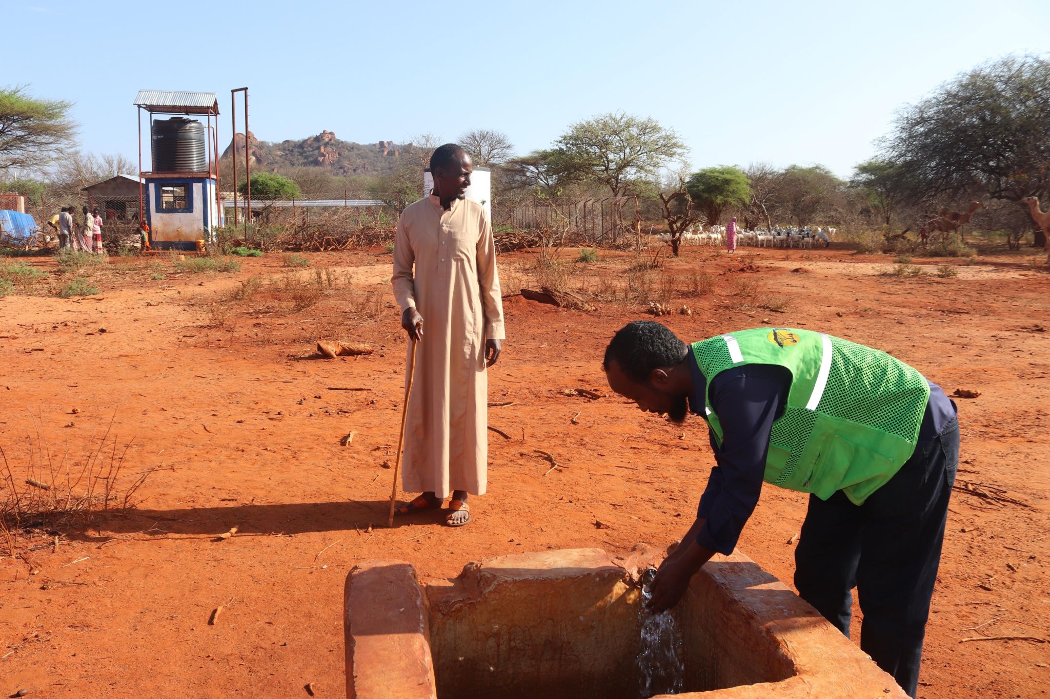 Mandera County Faces Immediate Humanitarian Threat Amid Critical Drought Conditions